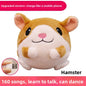 Hot-Selling Bouncy Ball Jumping Pig Toy